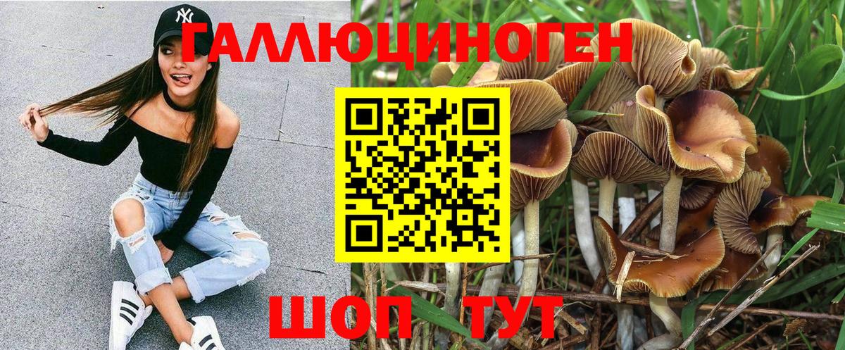 Алексин  Псилоцибиновые грибы мухоморы  Вход с VPN 